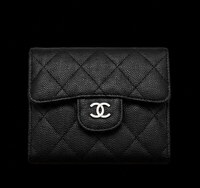 Chanel Purse